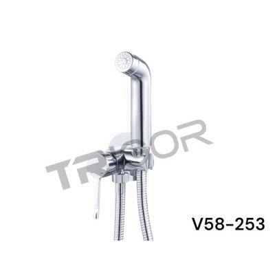 Смеситель /гигиенический душ TRIGOR V58-253, хром